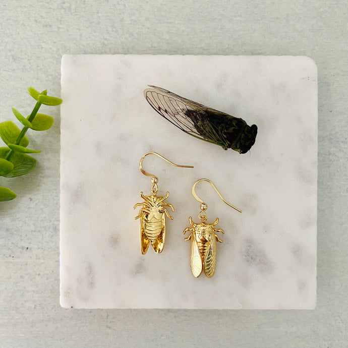 Cicada three dimensional dangle earrings