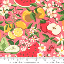 Load image into Gallery viewer, Fruit Loop Lilly Pilly pink top knot headband
